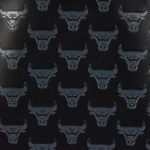 BB751520-495C-3DCD-81FD-DB934B4C62F5