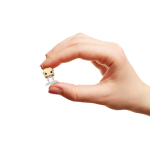 49CB1E19-04DC-52E2-F239-52542DC6CC9F