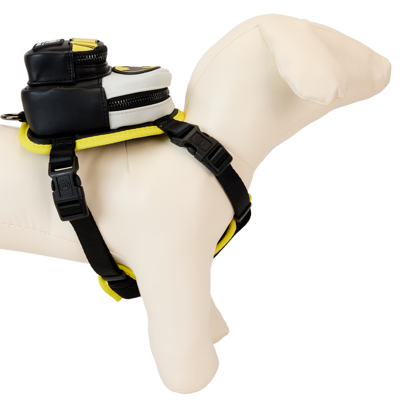 3948024E-21BE-7038-8FAD-390B32C5B49C