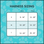 DF370F44-4CBF-2130-62A1-325A82DB983D