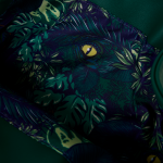 83936E49-ADDC-5FDE-2B0C-C9BF04C388E7