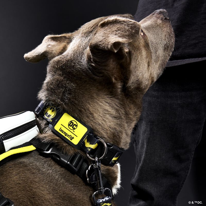 BFCC8F95-DF9E-3398-3851-66B178D4D39D