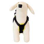 DF370F44-4CBF-2130-62A1-325A82DB983D